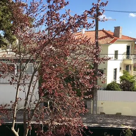 Beautiful 5 Bedroom For 14 Guests-pool & Bbq Estoril