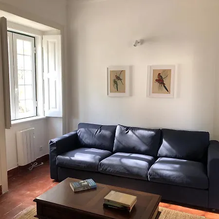 Beautiful 5 Bedroom For 14 Guests-pool & Bbq Villa Estoril