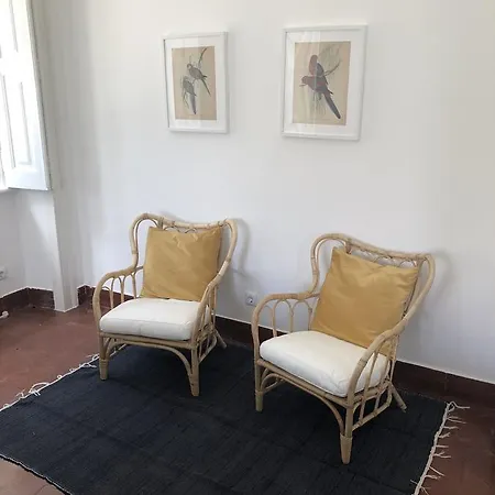 Beautiful 5 Bedroom For 14 Guests-pool & Bbq Estoril